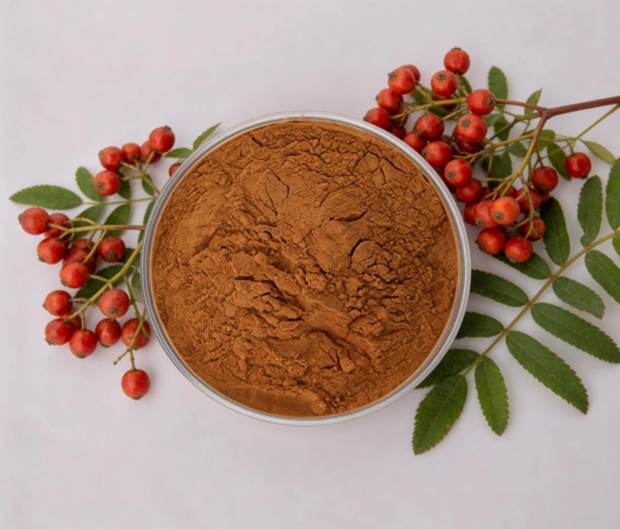 Ghanaian Seed Extract Applications in Pharma & Nutraceutical Markets